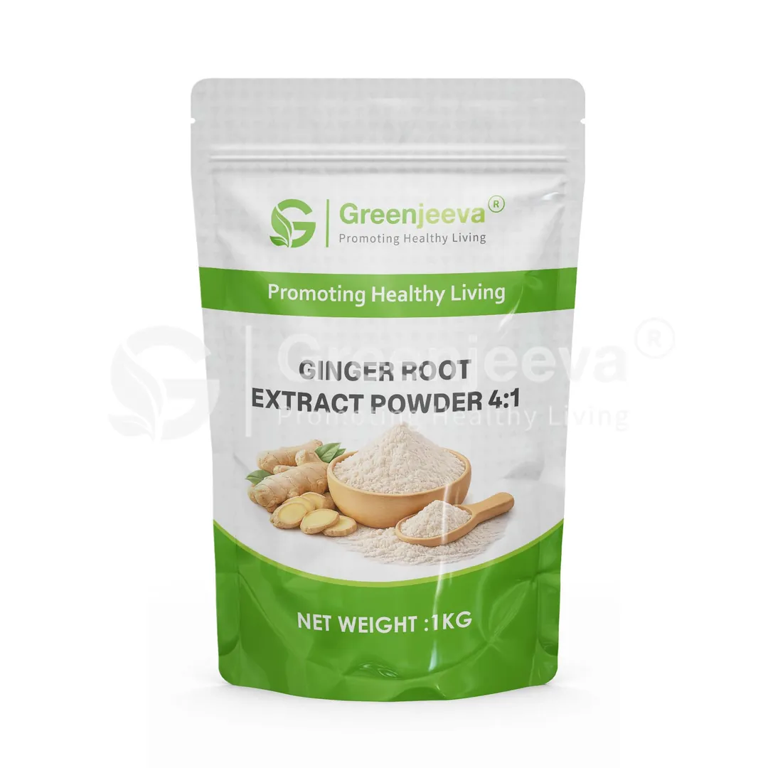 Ginger Root Extract Powder 4 1 Pouch Ginger Root Extract Powder 4 1 Pouch